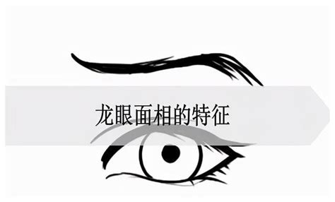 龍眼 面相|解析面相中的龙眼